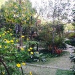 ガーデン カフェ イオ - 