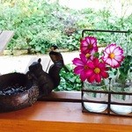 ガーデン カフェ イオ - 小鳥がやってきます( ^ω^ )