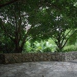 ザ・リッツ・カールトン沖縄 - 