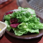 よろにく - 野菜サラダ