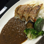 南家 - 札幌餃子カレー
