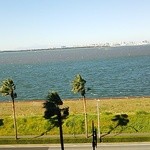 東京ベイ舞浜ホテルクラブリゾート - 朝、お部屋からの景色