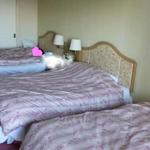 東京ベイ舞浜ホテルクラブリゾート - お部屋。可愛いお友達が寝てる間に撮りました。