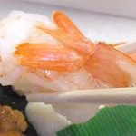 Nishimachi Miyama - にぎり寿司つばき　７９８円＋消費税８％　海老のアップ　【　２０１５年１０月　】