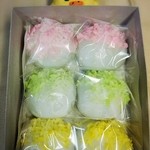 椿庵博美屋 - キイロイトリ「おいおい、箱ぉ～、押すなよ」