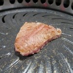 鳥取和牛 因幡の国守 - ミスジ