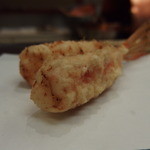 田ざわ - ヒメゴチ