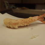 田ざわ - エビ・・・