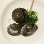 北島亭 - ながらみ（貝）：キサゴ