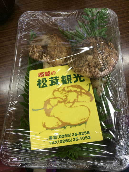 堀越まつたけ観光 name=