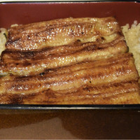 鰻割烹 伊豆栄 梅川亭 - うな重松