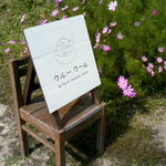 ウルーウール - 白い看板とコスモス