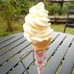Shigi San Kankou Aisenta - 栗が一杯ソフトクリーム