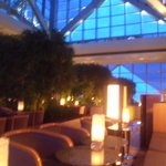 ピーク・バー - 夜はもっと暗め♪