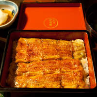 五代目 野田岩 麻布飯倉本店 - 養殖の鰻重（菊）
