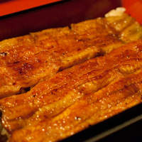 五代目 野田岩 麻布飯倉本店 - 養殖物