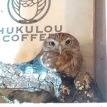 フクロウコーヒー - 