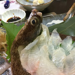 どんまい - 2015.10. 今日はカレイ