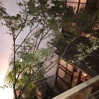 先斗町 魯ビン - 坪庭