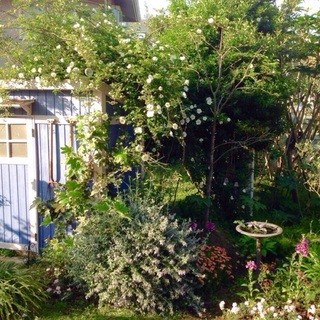 ヴェント・エ・イル・レオーネ