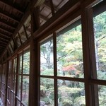 高野山 別格本山 遍照光院 - □内観□　廊下から見た中庭　①