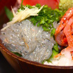 玉鉾 - 生シラス アップ！新鮮で美味しい！