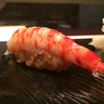 鮨 とかみ - 2015/10_車海老