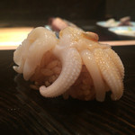 鮨 とかみ - 2015/10_スミイカの下足