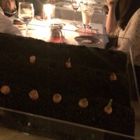 RESTAURANT DAZZLE - 