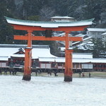 ビッグ セット - 雪景色の厳島神社