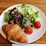 JALサクララウンジ - 