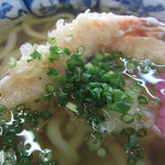 釜揚げうどん 岩見 - 海老天アップ