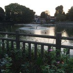 栄屋肉店 - ボートも乗れる池があります