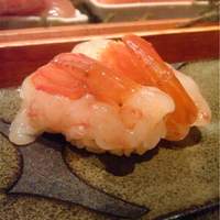 寿司 向月 本館 - 車海老のお寿司