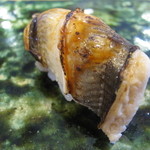 越乃 - 淡路の穴子