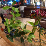 ドゥー・クルール - テーブル席の緑も、秋らしく模様替え