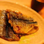 鮨処いちい - 秋刀魚を炙って貰いました