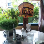 cafe indigo forest - 