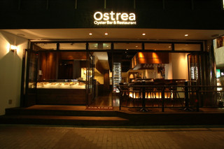 Ostrea - 