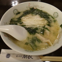 味の中華 羽衣 銀座本店 - 味噌餃子