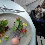 マルクトカフェ - ワンコ連れ（テラス）