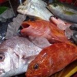 八べえ - 鰻以外にも旬の鮮魚の刺身や丼を用意しています