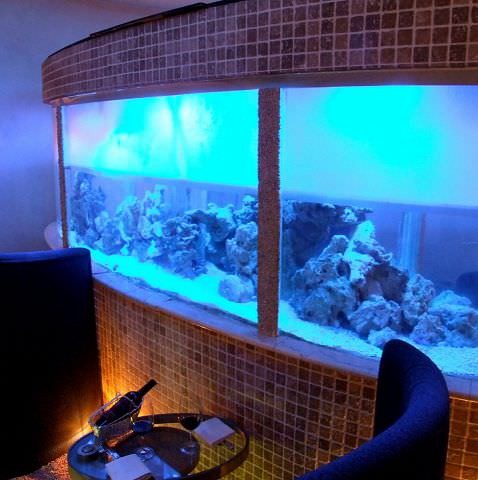ディープブルー横浜 Deep Blue Yokohama 馬車道 イタリアン 食べログ ディープブルー横浜 Deep Blue Yokohama 馬車道 イタリアン 食べログ
