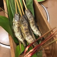 古湯温泉 ONCRI - やまめ