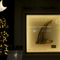 筑紫樓 銀座店 - 
