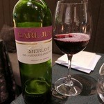 SALONE 2007 - 【MERLOT / CARLJUNE】2015/10