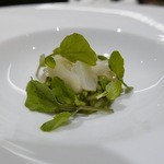 SALONE 2007 - 【リゾット・バジリコ・アオリイカ】♫2015/10