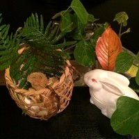 京懐石 吉泉 - 