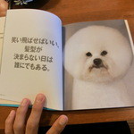 なんだかうれしい。 - 