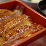 つるや - 天龍川（てんりようがは）天然鰻、鰻重（うなぢゆう）